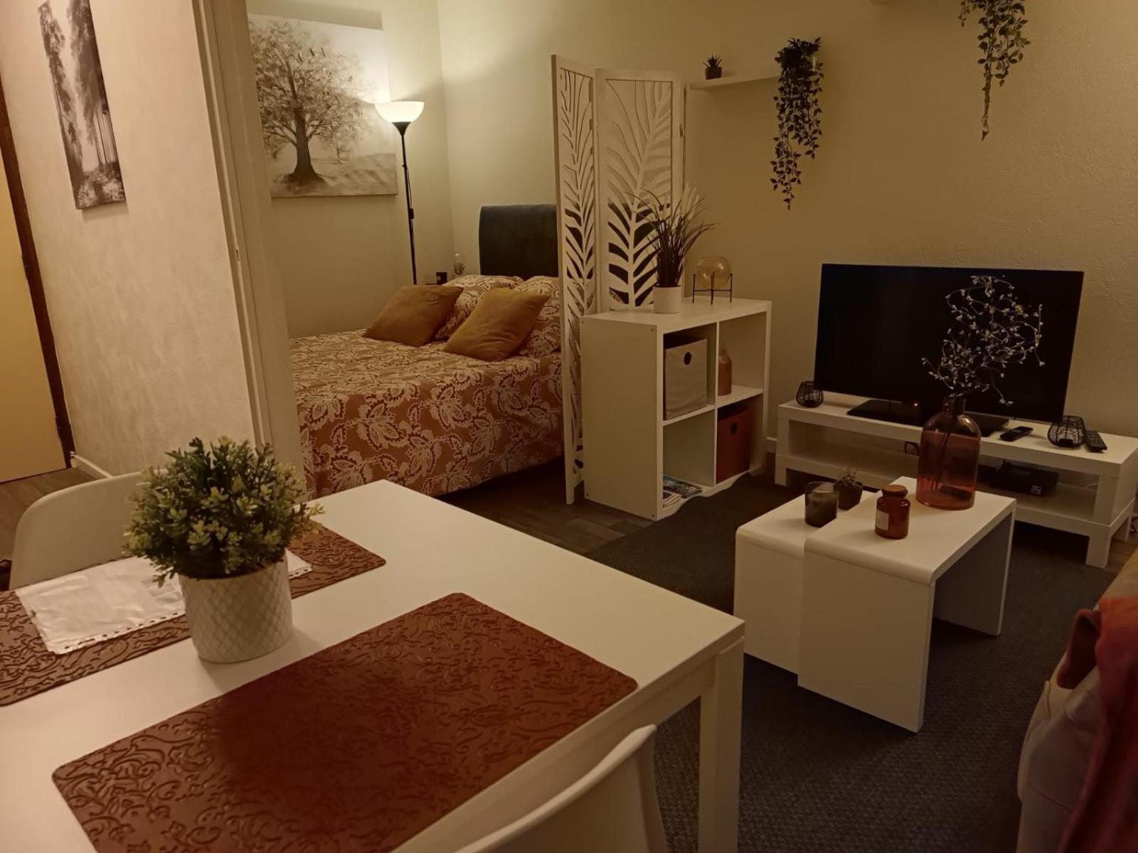 Le Jaude Centre Studio 克莱蒙费朗 外观 照片